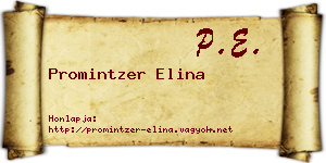 Promintzer Elina névjegykártya